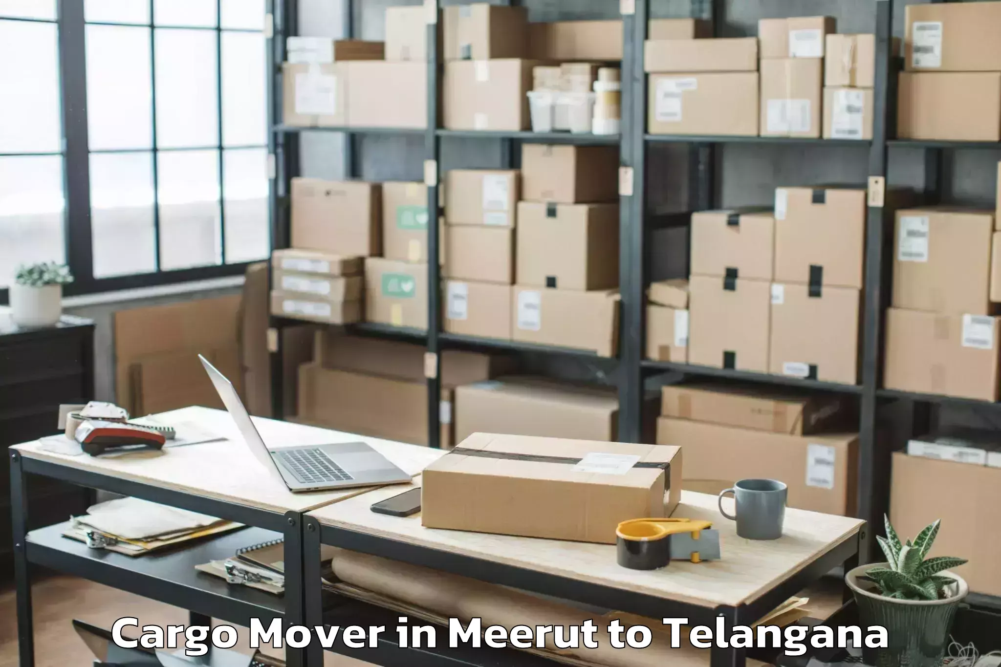 Book Meerut to Lingampet Cargo Mover Online